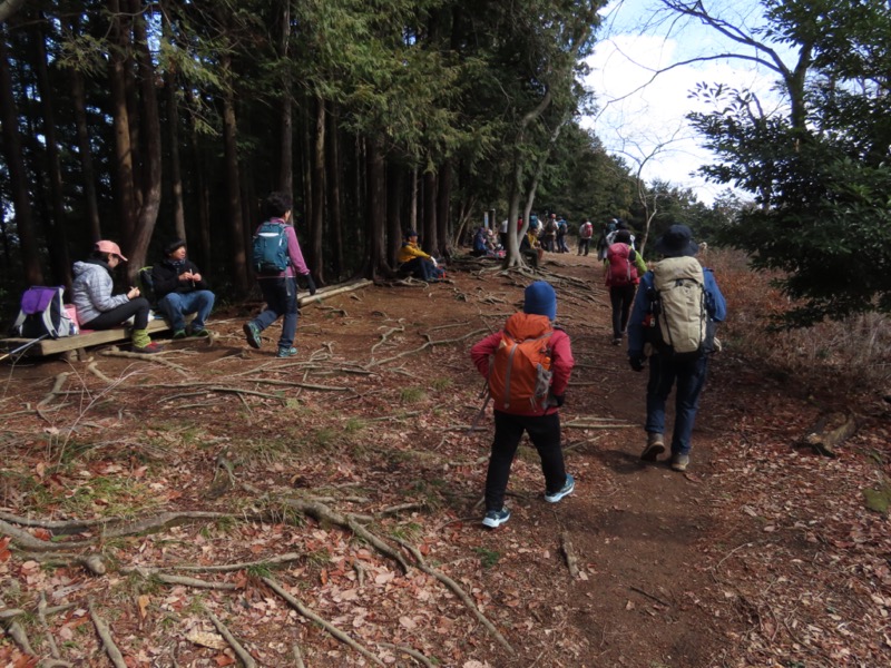 日和田山、物見山